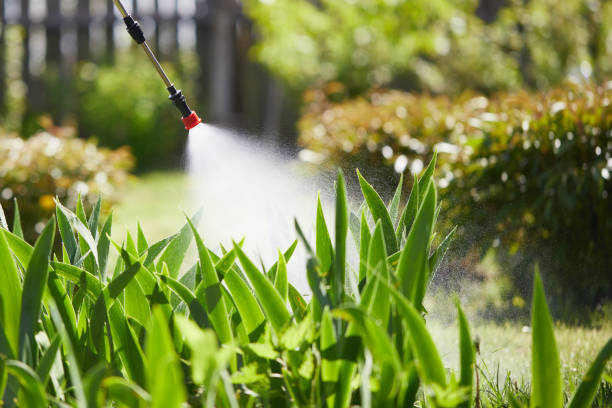 24/7 Emergency Wasp Removal experts in Hickory Hills, IL